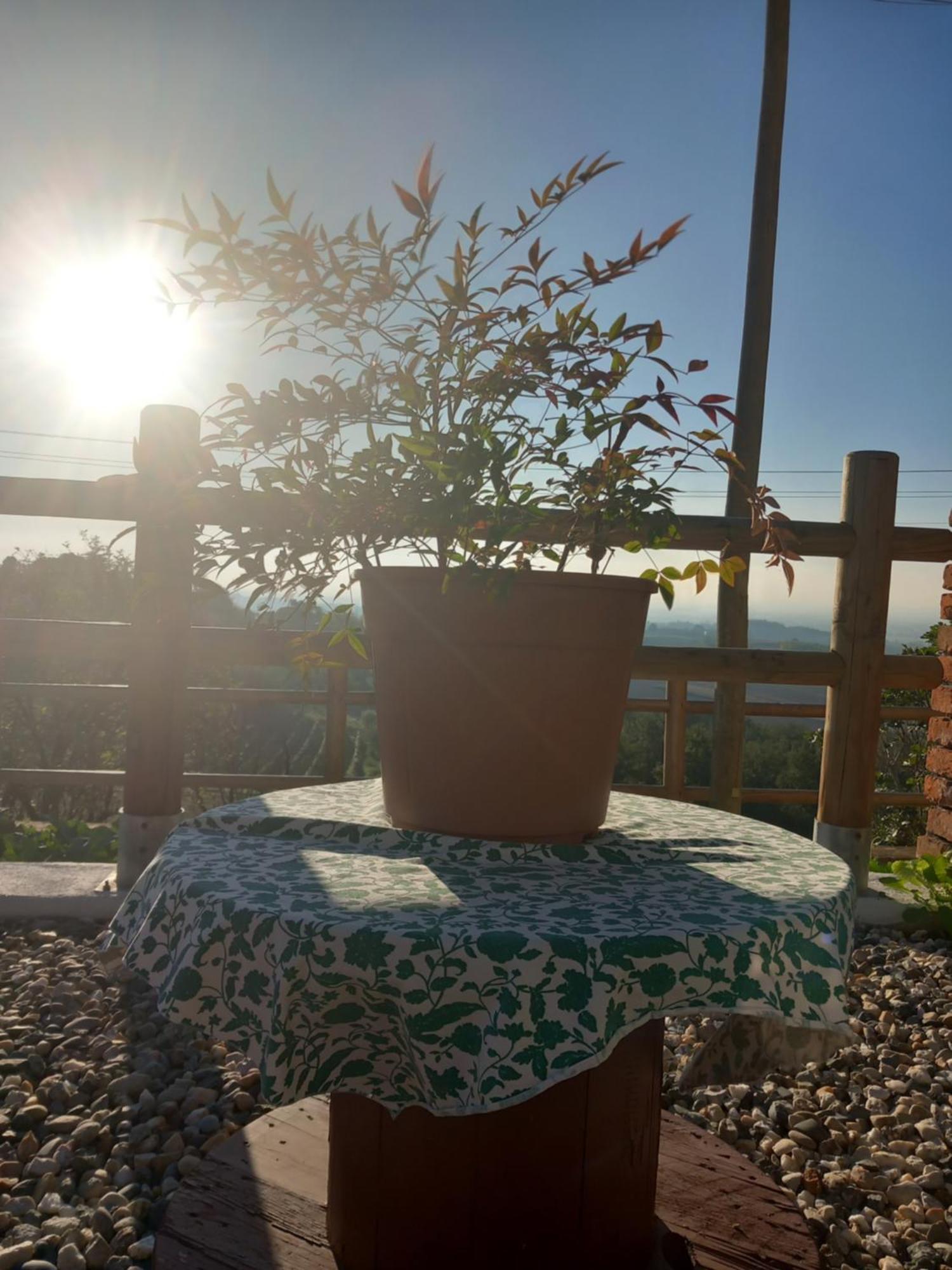 Il Cortile Di Greta Bed & Breakfast Lu (Piedmont) Ngoại thất bức ảnh