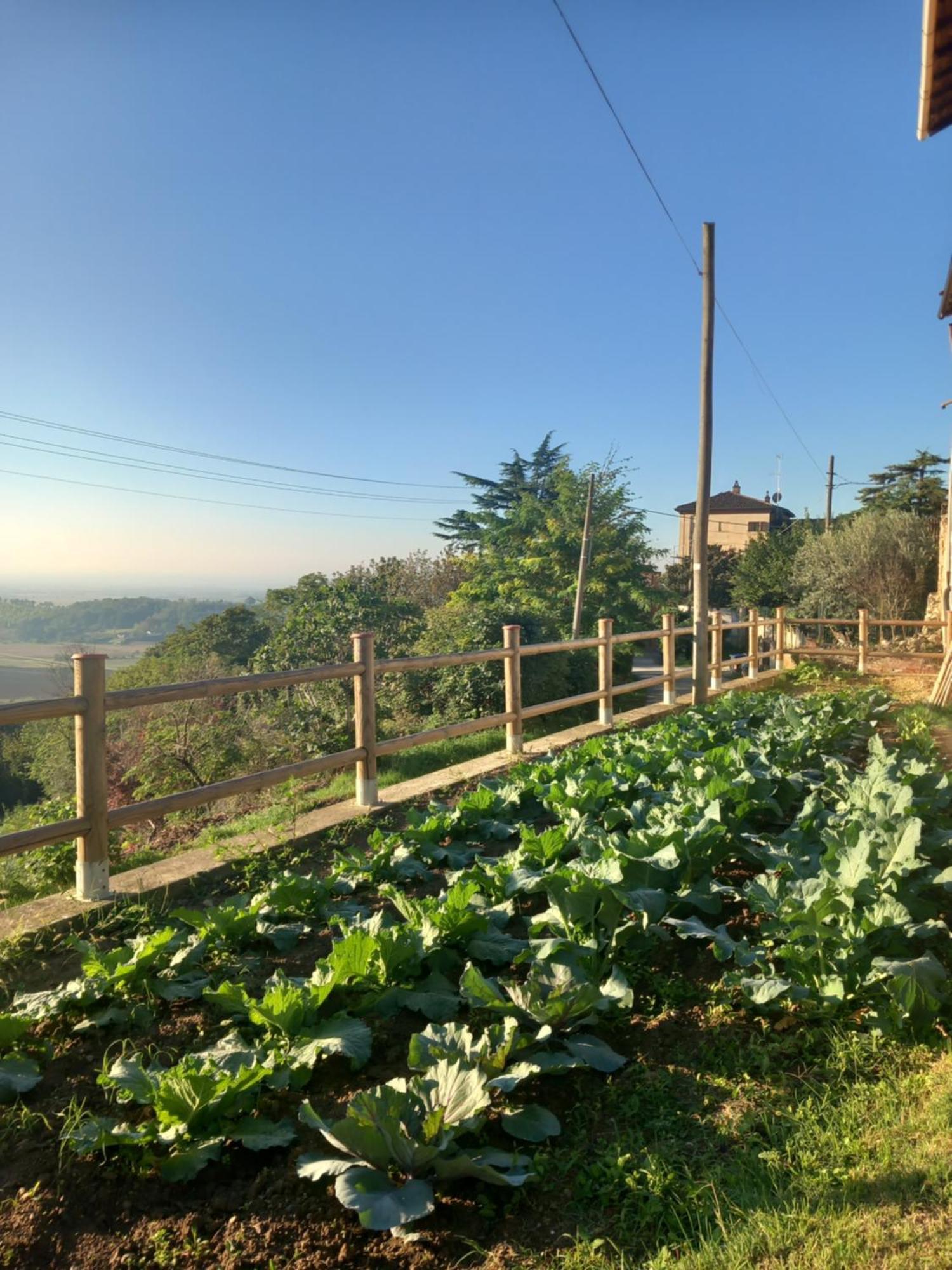 Il Cortile Di Greta Bed & Breakfast Lu (Piedmont) Ngoại thất bức ảnh